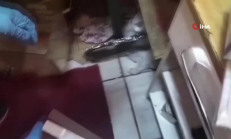 Erzincan’da kaçakçılık operasyonu: 5 gözaltı Erzincan’da kaçakçılık operasyonu: 5 gözaltı