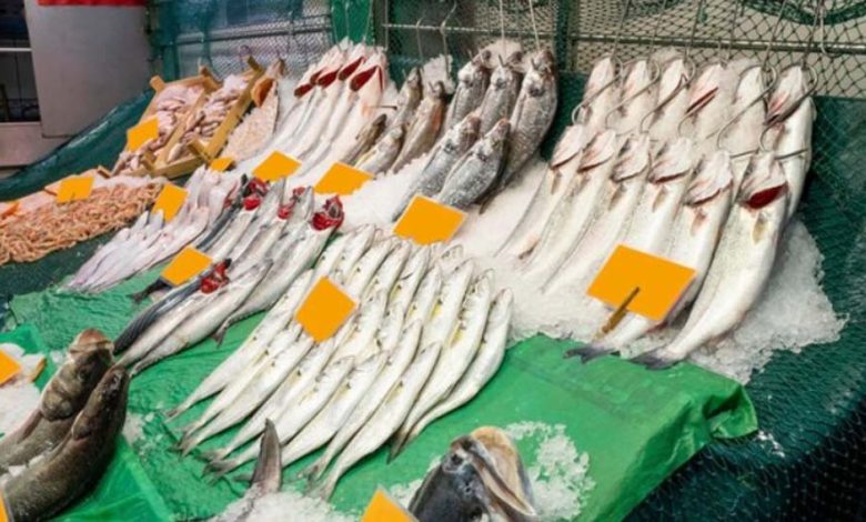 Kasım ayı balıkları nelerdir? Kasım ayında hangi balıklar yenir? Kasım ayı balıkları nelerdir? Kasım ayında hangi balıklar yenir?