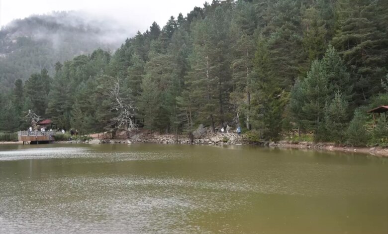 Gümüşhane’deki Limni Gölü Tabiat Parkı, Turistleri Ağırlamaya Devam Ediyor Gümüşhane’deki Limni Gölü Tabiat Parkı, Turistleri Ağırlamaya Devam Ediyor
