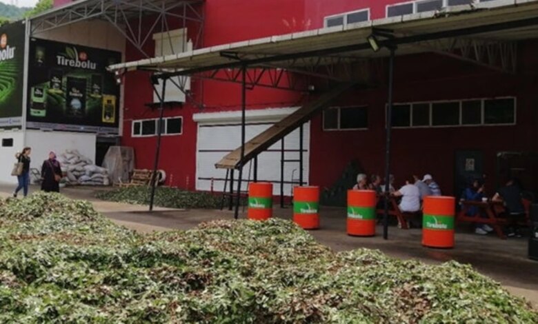 Kriz onları da vurdu! 120 yıllık çay devi iflas bayrağını çekti Kriz onları da vurdu! 120 yıllık çay devi iflas bayrağını çekti