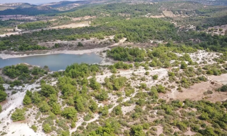 Osmancalı Fosil Ormanı Tabiat Anıtı Olarak Tescillendi Osmancalı Fosil Ormanı Tabiat Anıtı Olarak Tescillendi