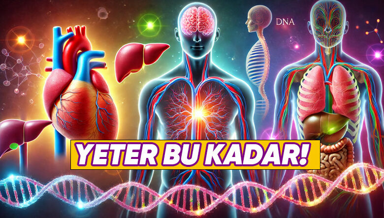 Organlarımız Ulaşması Gereken Boyutu Nasıl Biliyor ve Daha da Büyümüyor? Organlarımız Ulaşması Gereken Boyutu Nasıl Biliyor ve Daha da Büyümüyor?