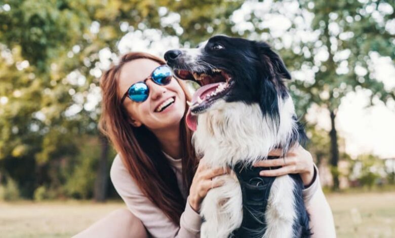 Köpeklerin Mutlu Olduğunu Nasıl Anlarız? Köpeklerin Mutlu Olduğunu Nasıl Anlarız?