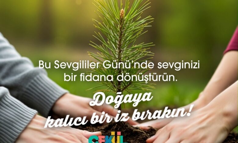 SEVGİLİLER GÜNÜ’NDE AŞKINIZI 7 FİDANLA TAÇLANDIRIN! SEVGİLİLER GÜNÜ’NDE AŞKINIZI 7 FİDANLA TAÇLANDIRIN!