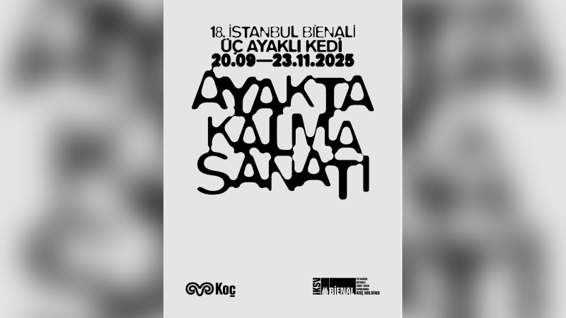 Kedilerin gözünden “ayakta kalma sanatı”