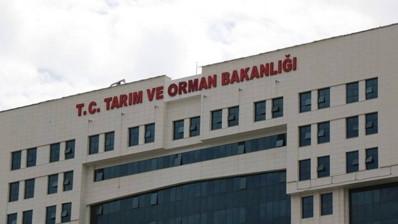 CHP’li isimden Tarım ve Orman Bakanlığı’na tepki: ‘Bu bakanlık ülkenin geleceğini heba etmiştir’ – Son Dakika Siyaset Haberleri CHP’li isimden Tarım ve Orman Bakanlığı’na tepki: ‘Bu bakanlık ülkenin geleceğini heba etmiştir’ – Son Dakika Siyaset Haberleri
