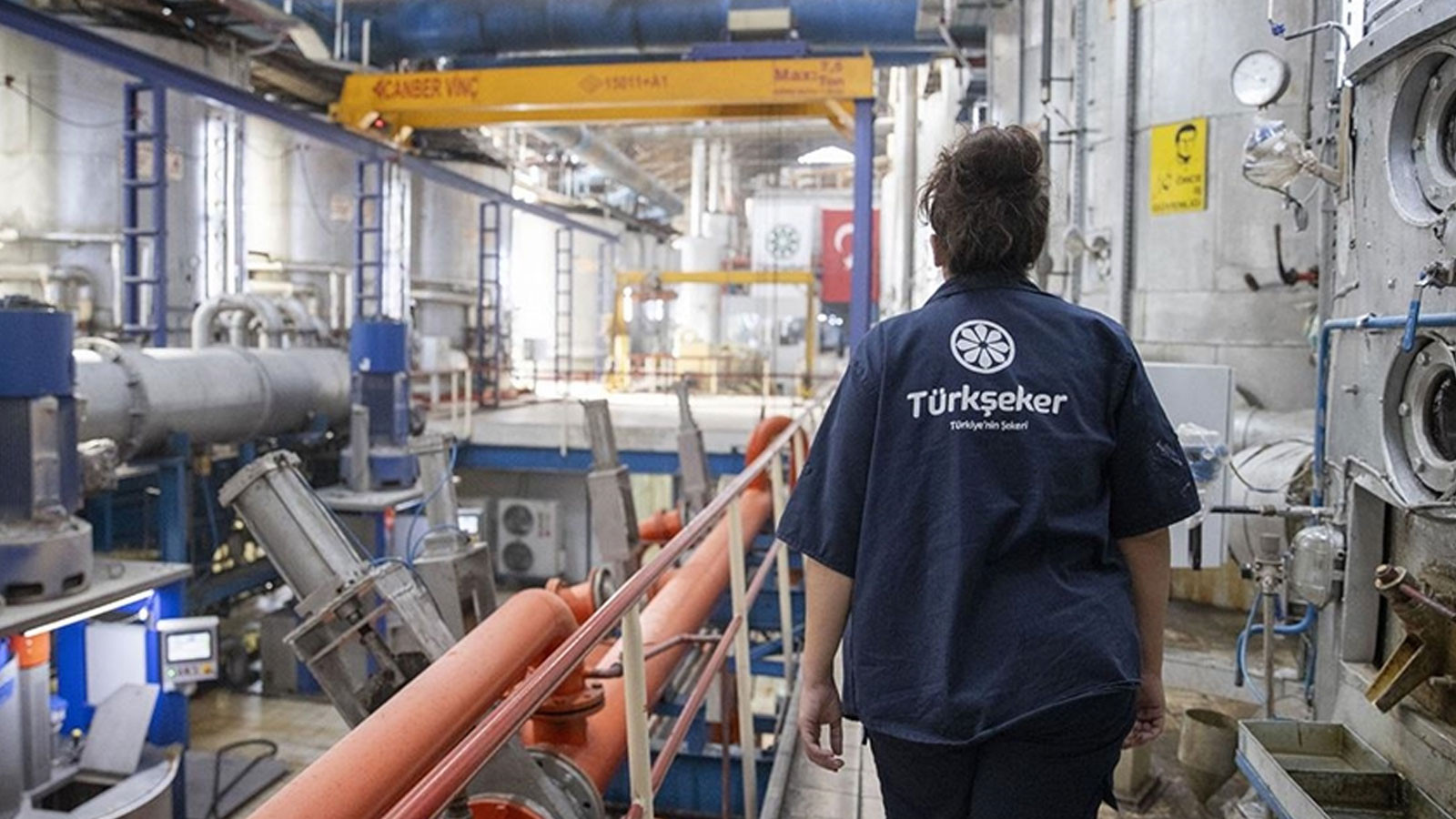 Türkşeker, pancar alım fiyatını belirledi Türkşeker, pancar alım fiyatını belirledi