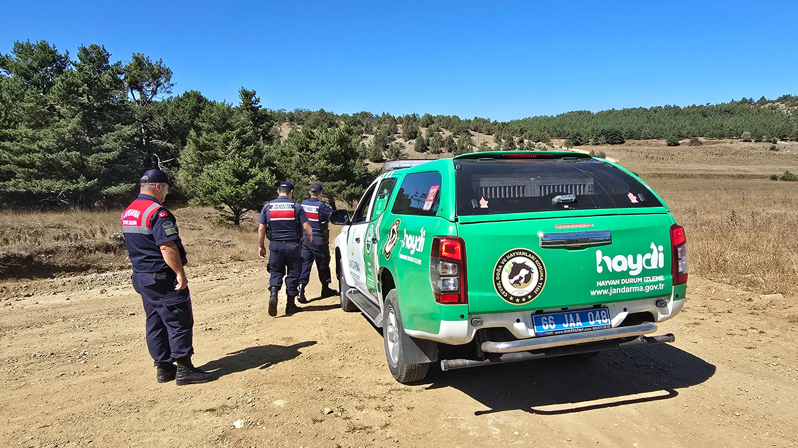 Yozgat’ta kaçak salep için jandarma sahada: Cezası 557 bin TL