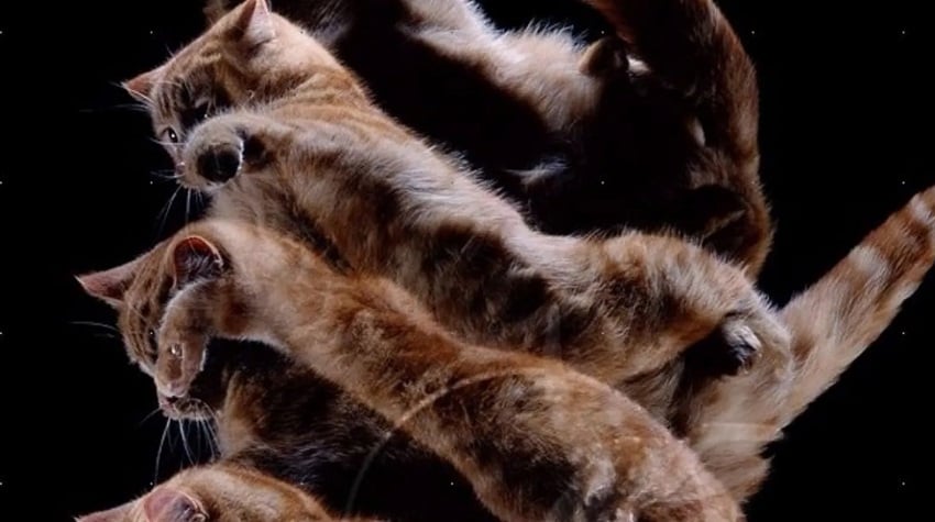 Yüksekten Düşmeye Müdahale