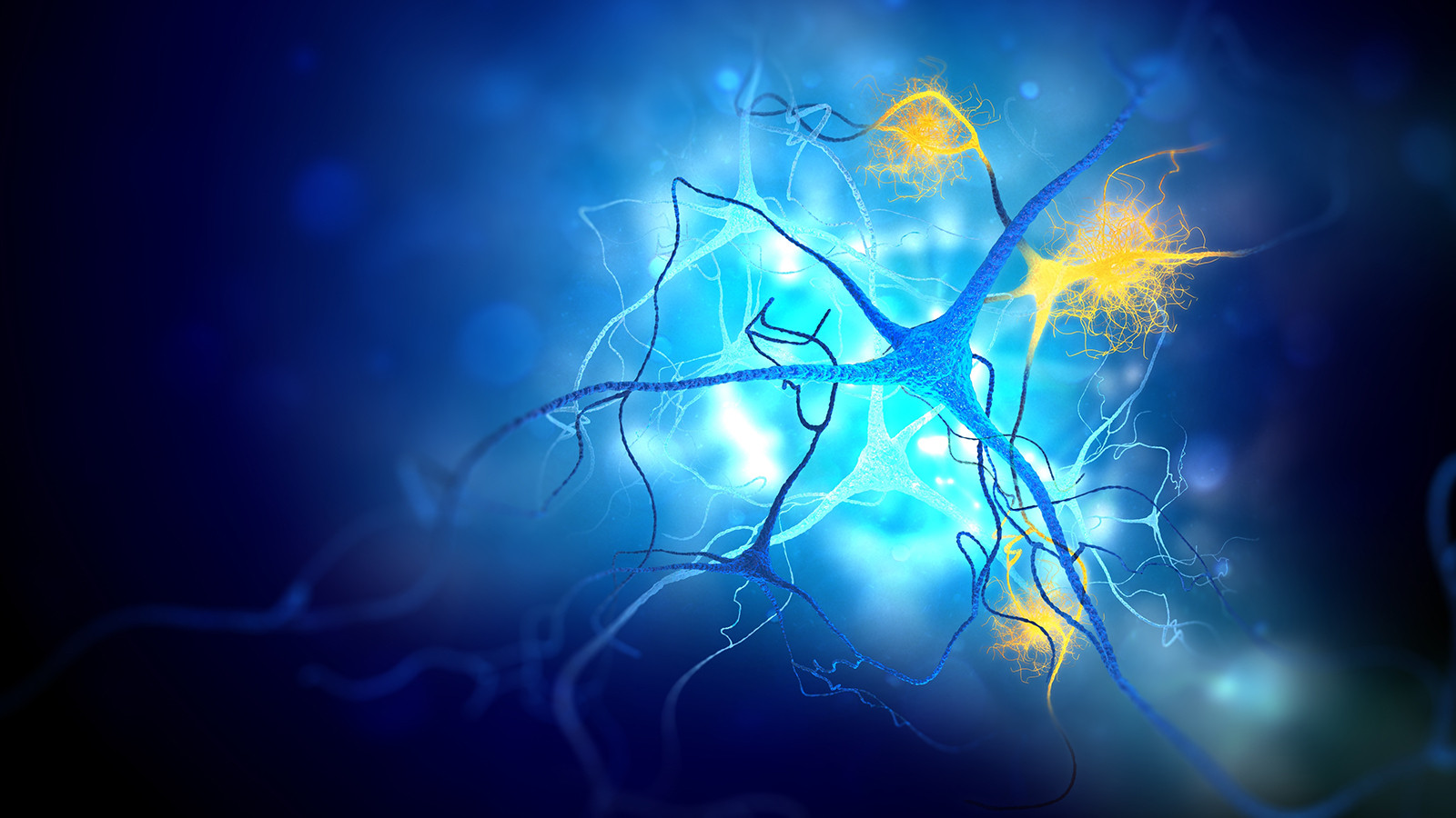 Alzheimer ve kanser tedavisinde yeni umut Alzheimer ve kanser tedavisinde yeni umut