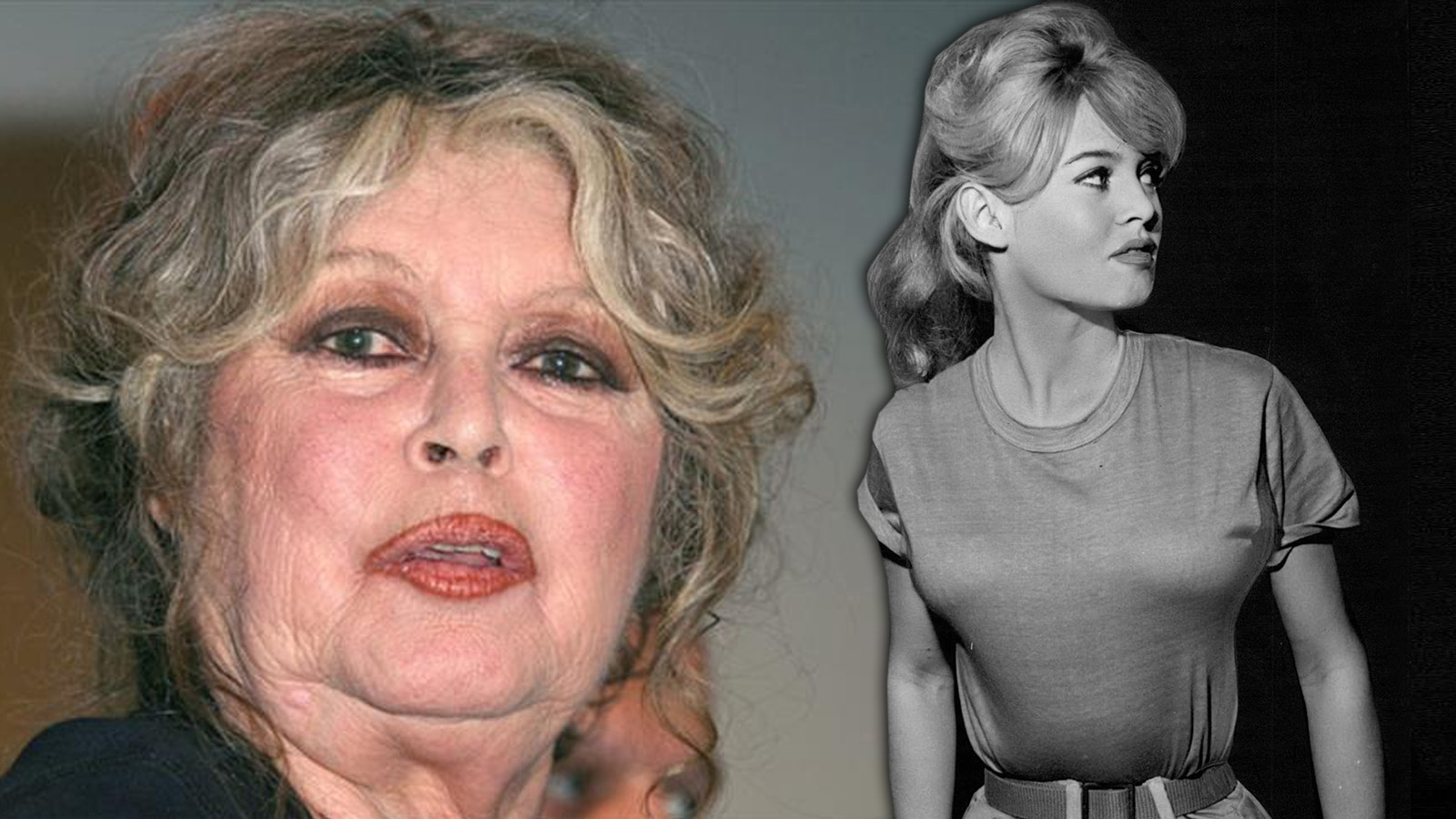 Efsane oyuncu Brigitte Bardot hastaneye kaldırıldı