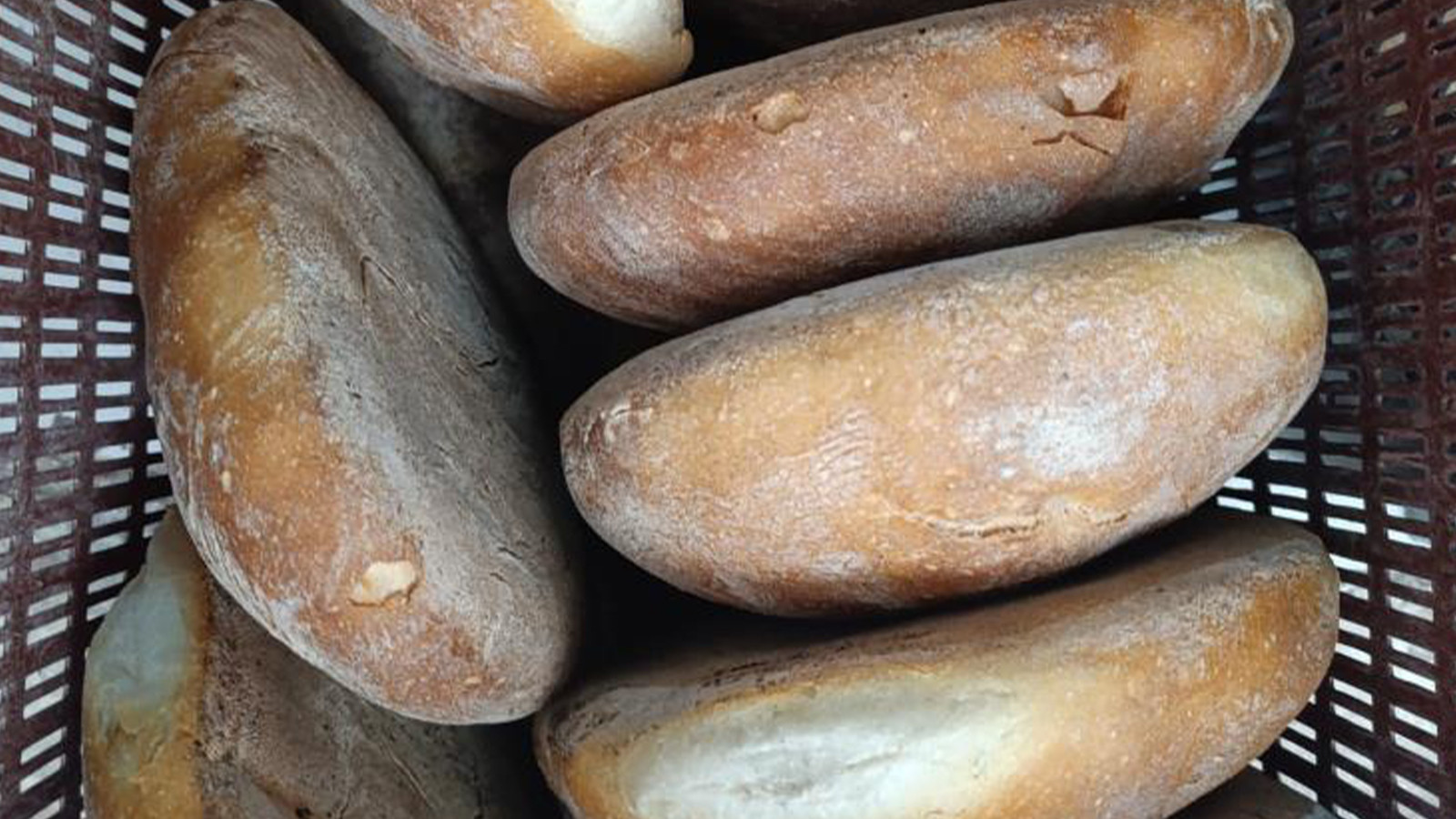 Ekmeğe yüzde 25 zam geldi Ekmeğe yüzde 25 zam geldi