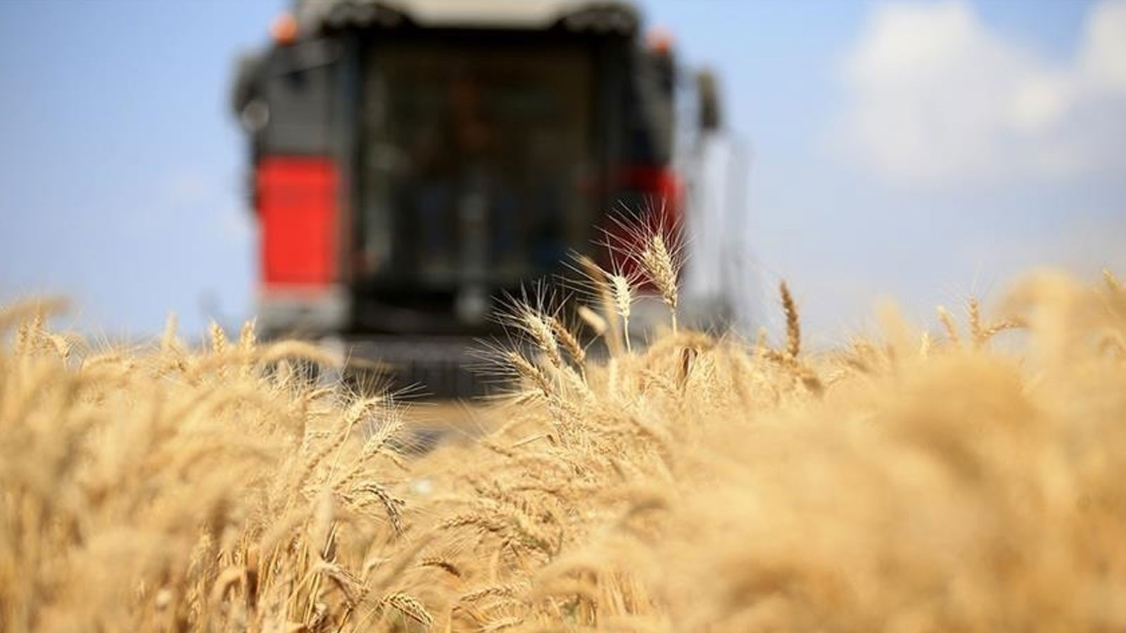 FAO ve Türkiye’den tarım politikalarını güçlendirecek yeni proje FAO ve Türkiye’den tarım politikalarını güçlendirecek yeni proje