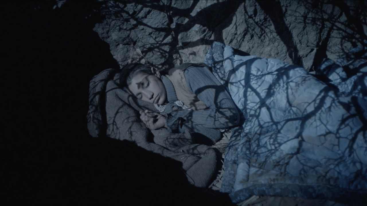 Tallinn’den Ödüllerle Dönen “Tavşan İmparatorluğu”, Türkiye Prömiyerini Antalya Film Festivali’nde Yapıyor Tallinn’den Ödüllerle Dönen “Tavşan İmparatorluğu”, Türkiye Prömiyerini Antalya Film Festivali’nde Yapıyor