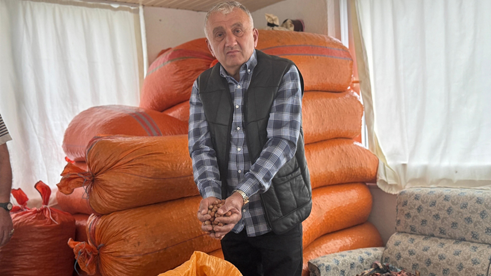 Fındık üreticisi fiyatın artmasını bekliyor; ürünler evde tutuluyor Fındık üreticisi fiyatın artmasını bekliyor; ürünler evde tutuluyor
