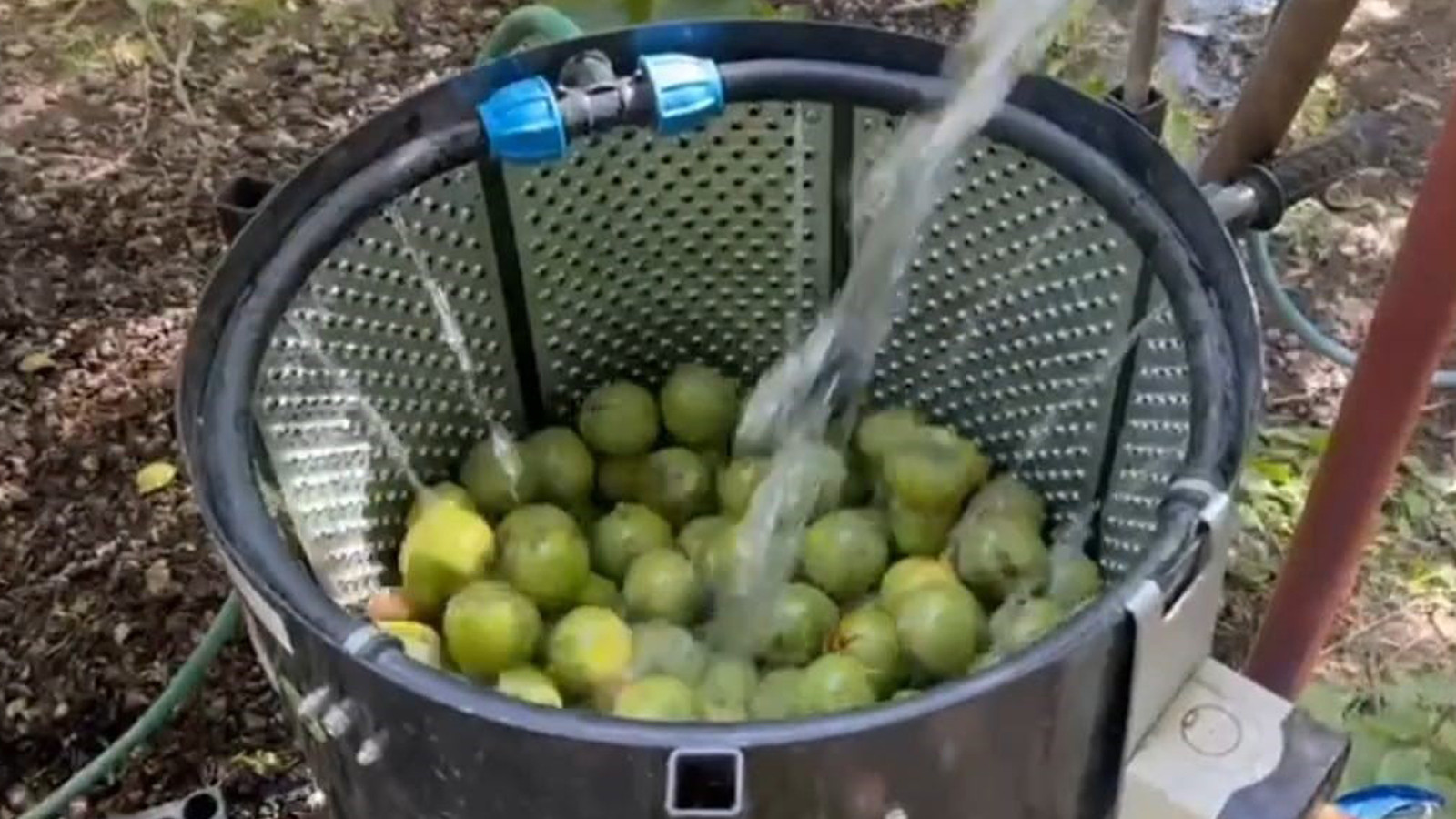 Kilosu 600 liraya kadar çıkıyor!