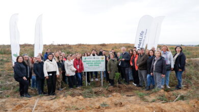 MetLife Türkiye, Şile’de 5 Bin Fidan Dikti