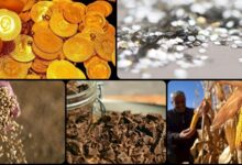 Emtia Piyasalarında Tarife ve Arz-Talep Endişeleri