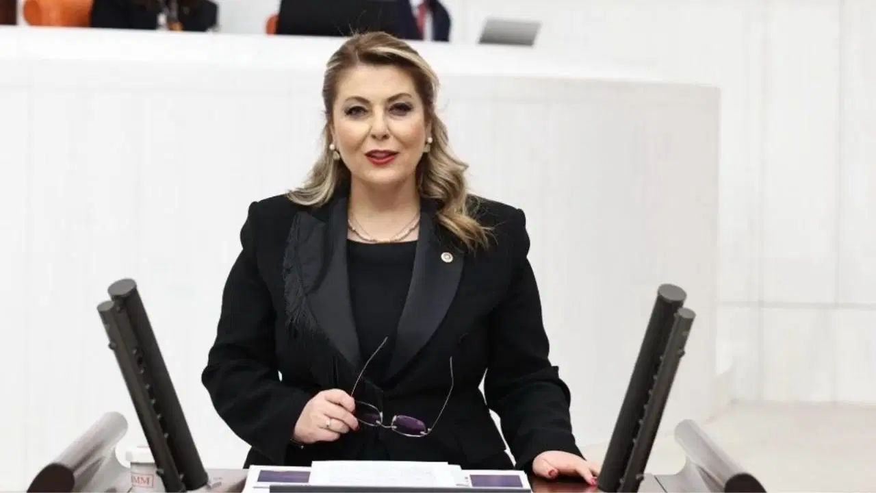 CHP’li Gezmiş’ten Dal-Çık Projesi tepkisi: ‘Sesli açılış, sessiz kapanış’ – Son Dakika Siyaset Haberleri CHP’li Gezmiş’ten Dal-Çık Projesi tepkisi: ‘Sesli açılış, sessiz kapanış’ – Son Dakika Siyaset Haberleri