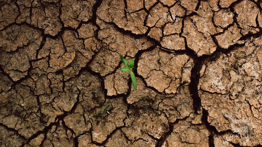 Dünya Bankası: Her yıl 324 milyar metreküp tatlı su kaybı