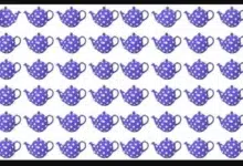 Optik İllüzyon: Farklı Demliği Bulma Zeka Testi