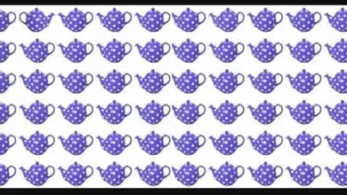 Optik İllüzyon: Farklı Demliği Bulma Zeka Testi