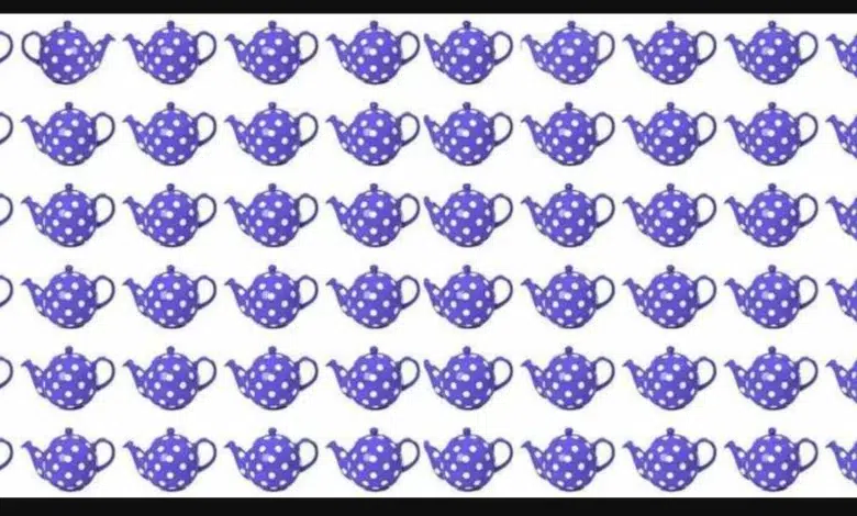 Optik İllüzyon: Farklı Demliği Bulma Zeka Testi