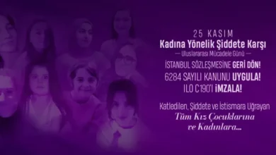 Eğitim-İş: Türkiye’de Kadınların Güvenliği Tehdit Altında