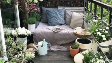 Balkonda Çiçek Bakımı: Doğru Bitki ve Dekorasyon İpuçları