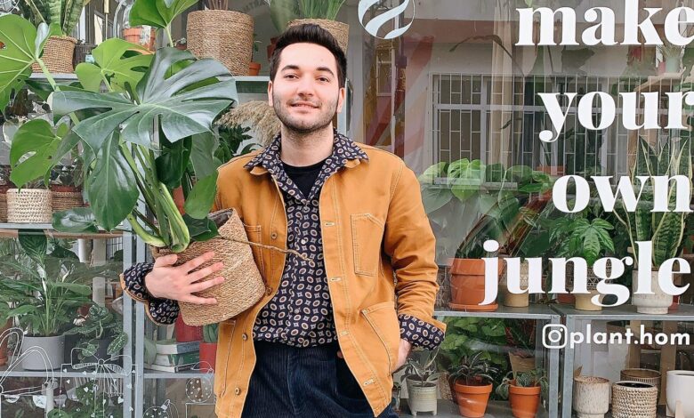 Aloe Vera Bakımı: Doğru Yöntemler ve İpuçları