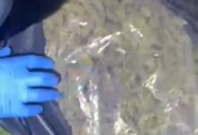 Muğla’da 4 Milyon TL Değerinde Uyuşturucu Ele Geçirildi