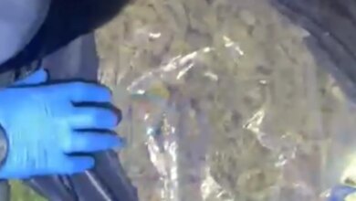 Muğla’da 4 Milyon TL Değerinde Uyuşturucu Ele Geçirildi