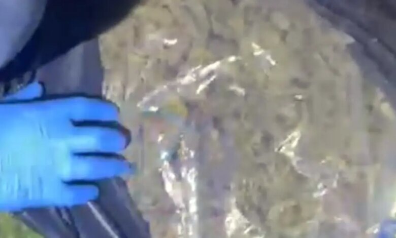 Muğla’da 4 Milyon TL Değerinde Uyuşturucu Ele Geçirildi