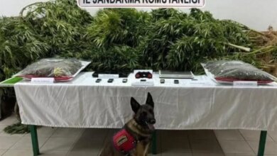 Konya’da Avukat Beraat Etti, İki Çalışanına Ceza Verildi