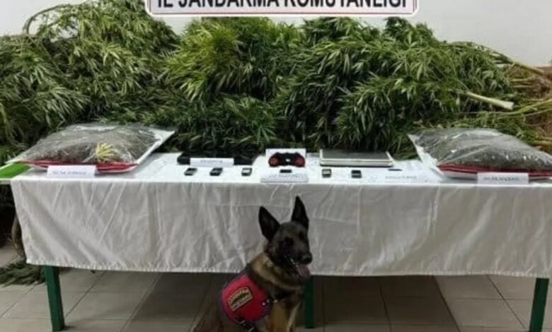 Konya’da Avukat Beraat Etti, İki Çalışanına Ceza Verildi