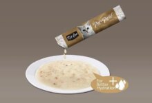 Kedi Çorbası Nedir? Faydaları ve Beslenme İhtiyaçları