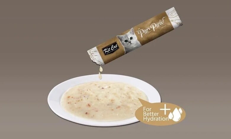 Kedi Çorbası Nedir? Faydaları ve Beslenme İhtiyaçları