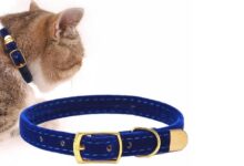 Kedi Tasmalarının Kullanımı ve Seçimi Hakkında Bilgiler