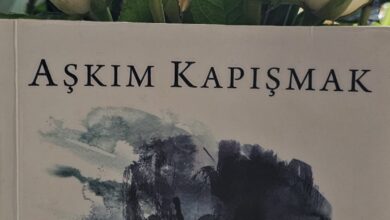 Kitap Yorumu: Üzümlü Kek | Aylin Özgür