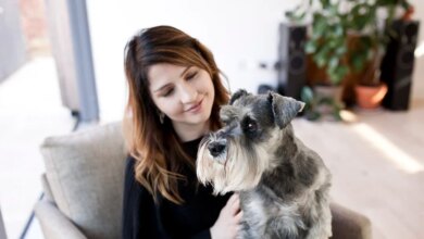 Köpeğinizi Anlamak: Vücut Dili ve Sesleri