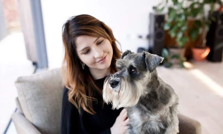 Köpeğinizi Anlamak: Vücut Dili ve Sesleri