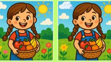 Meyve Sepeti Bulmacası: İki Resim Arasındaki Farklar