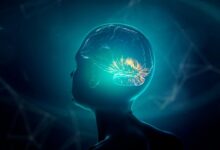 Araştırma: İnsan beyni 5 evreden geçiyor, 32 yaşına kadar