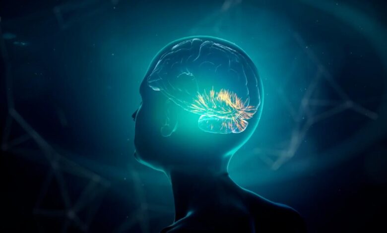 Araştırma: İnsan beyni 5 evreden geçiyor, 32 yaşına kadar