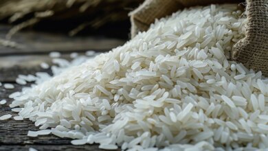 Küresel Pirinç Üretimi Artarken Fiyatlar Düşüyor