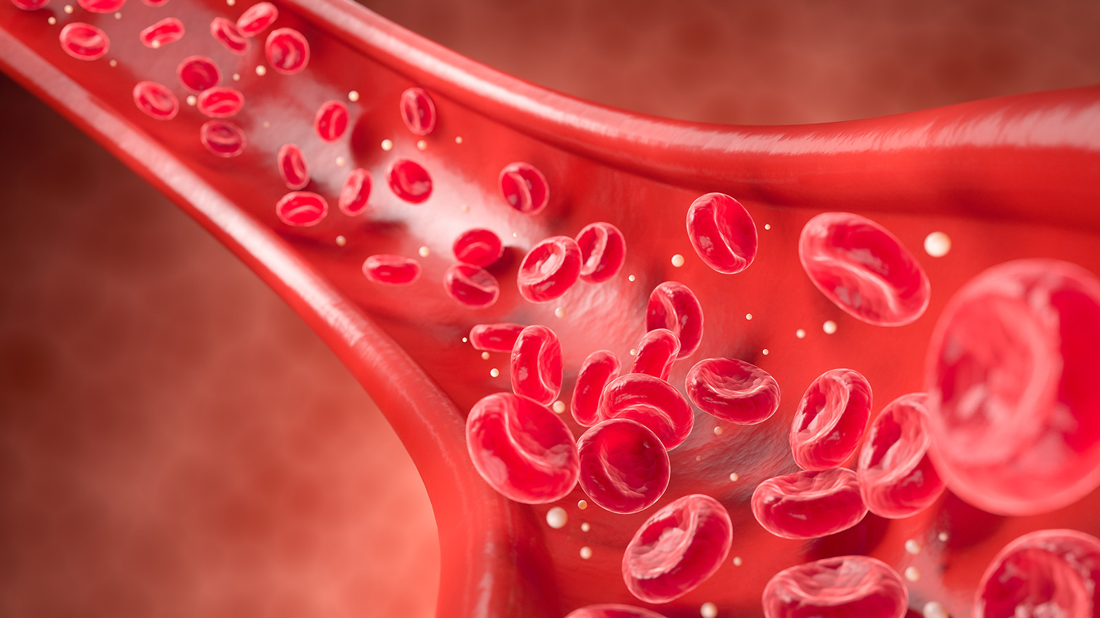 Nadir Görülen Rh Null Kan Grubu ve Önemi