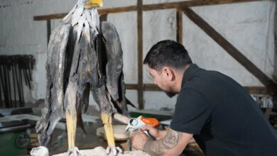 Driftwood Sanatçısı Osman Dönmez’in Doğa ile İlişkisi