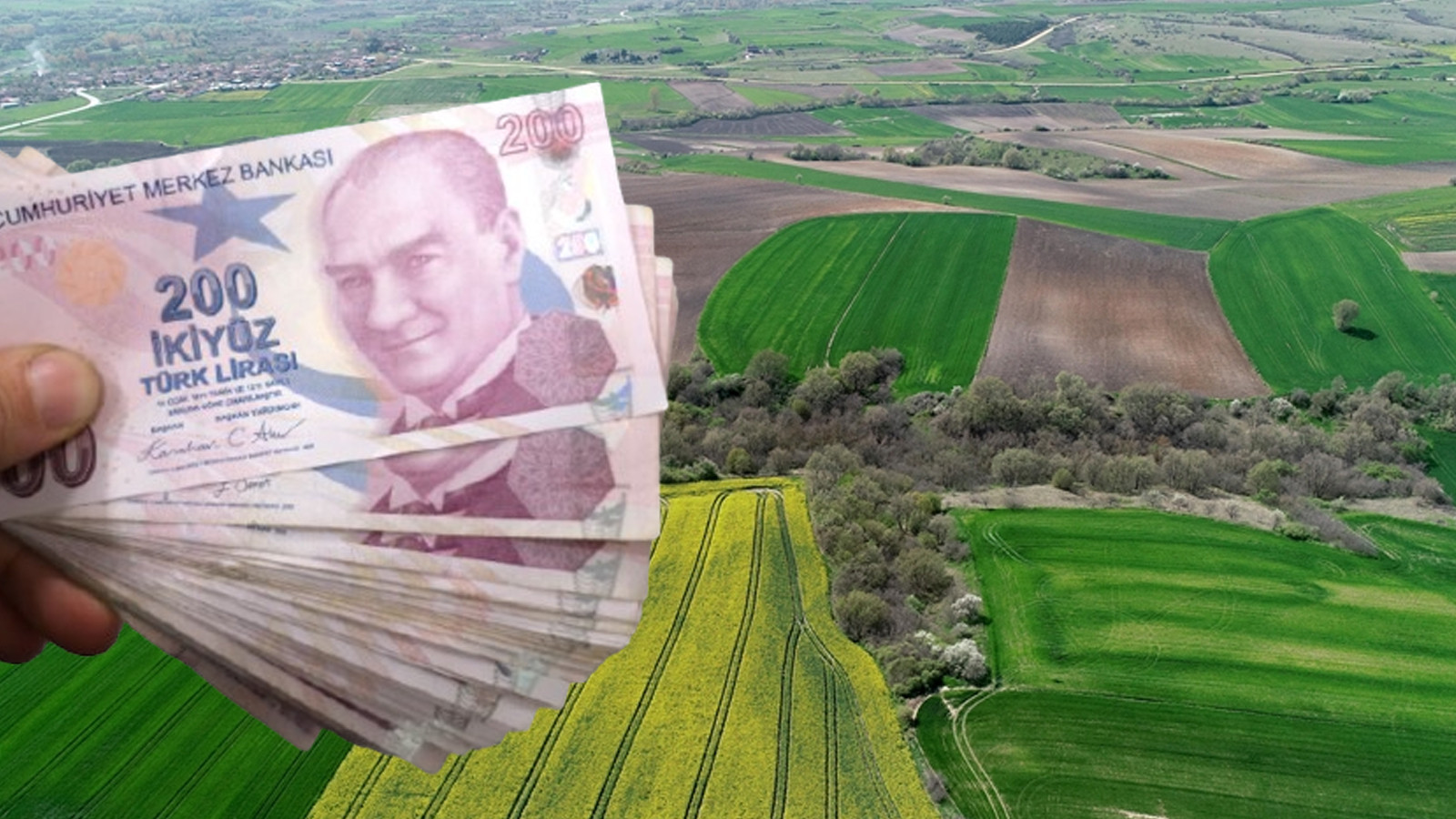 Arsa Fiyatları En Ucuz Olan İller Belirlendi