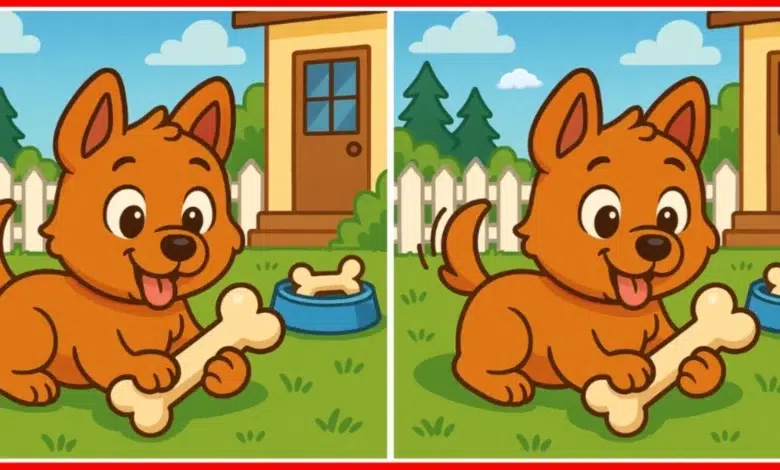 Köpekler Arasındaki Farkları Bulma Oyunu Dikkat Gerektiriyor