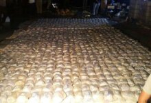 Kolombiya’da 14 Ton Kokain Ele Geçirildi